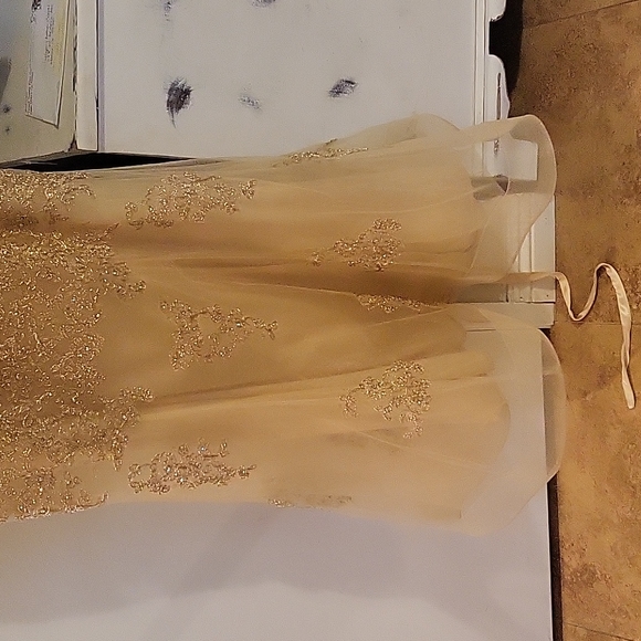 Galla Prom black tie cocktail dress - Picture 2 of 4